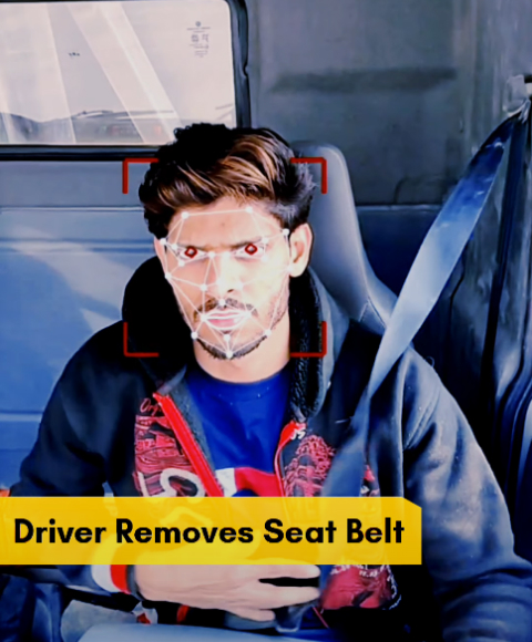 No Seat-Belt